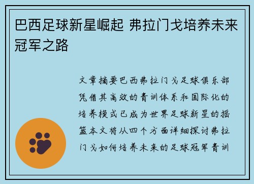 巴西足球新星崛起 弗拉门戈培养未来冠军之路