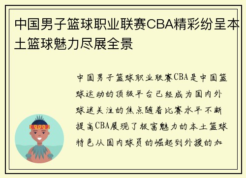 中国男子篮球职业联赛CBA精彩纷呈本土篮球魅力尽展全景